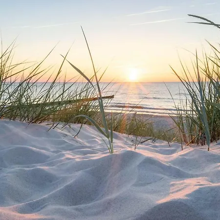 شقة White Pearl 0.14