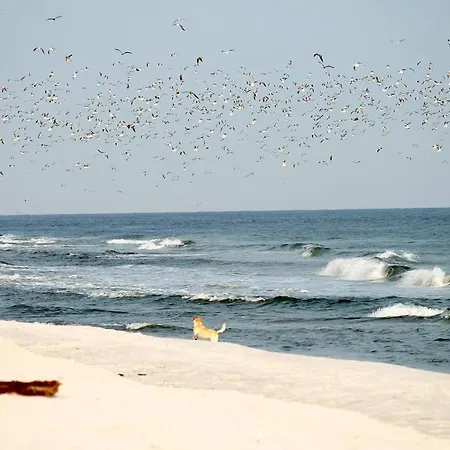 White Pearl 0.14 Daire Timmendorfer Strand