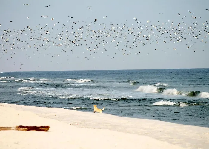 White Pearl 0.14 Apartamento Timmendorfer Strand